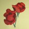 BFC0458 Rose Cottage Designs