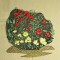 BFC0458 Rose Cottage Designs