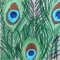BFC0461 Stained Glass- The Peacock
