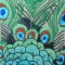 BFC0461 Stained Glass- The Peacock