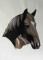 BFC0463 Portraits-Horses
