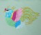 BFC0465 Chinese Historical Phoenix