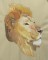 BFC0468 Animals of Africa