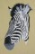 BFC0468 Animals of Africa