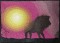 BFC0470 African Nights