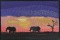 BFC0470 African Nights