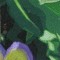 BFC0477 Window - Floral Fantasy II