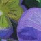 BFC0477 Window - Floral Fantasy II