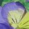 BFC0477 Window - Floral Fantasy II