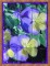BFC0477 Window - Floral Fantasy II