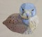 BFC0481 Falcons
