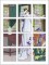 BFC0482 Window - The Lady Watching