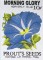 BFC0483 Seed Packets - Flowers