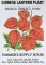 BFC0483 Seed Packets - Flowers