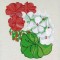 BFC0484 Seed Packet Flower Pack