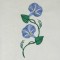 BFC0486 Morning Glory Medley