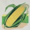BFC0488 Seed Packets Veggie Pack