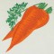 BFC0488 Seed Packets Veggie Pack
