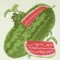 BFC0488 Seed Packets Veggie Pack
