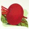 BFC0488 Seed Packets Veggie Pack