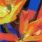 BFC0490 Window - Floral Fantasy III