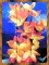 BFC0490 Window - Floral Fantasy III