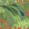 BFC0496 Window - Poppy Fields
