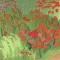 BFC0496 Window - Poppy Fields