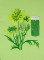BFC0498 Seed Packet Herb Pack