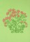 BFC0498 Seed Packet Herb Pack