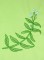 BFC0498 Seed Packet Herb Pack