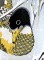 BFC0500 Japanese Panel - Winter