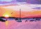 BFC0511 Sunsets by the Ocean