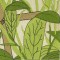 BFC0513 Window - The Grasshopper