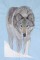 BFC0514 Wolves
