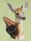 BFC0517 Deer