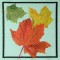 BFC0522 Falling Leaves