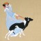 BFC0526 Greyhounds