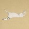 BFC0526 Greyhounds