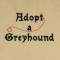 BFC0526 Greyhounds