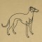 BFC0526 Greyhounds