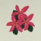 BFC0527 Plumeria