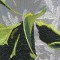 BFC0531 Stained Glass-Winter Medley