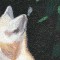 BFC0532 All Babies of the Wild