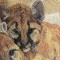 BFC0532 All Babies of the Wild
