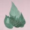 BFC0535 Floral Expressions I - Elements