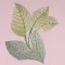 BFC0535 Floral Expressions I - Elements