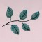 BFC0535 Floral Expressions I - Elements