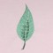 BFC0535 Floral Expressions I - Elements