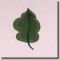 BFC0535 Floral Expressions I - Elements